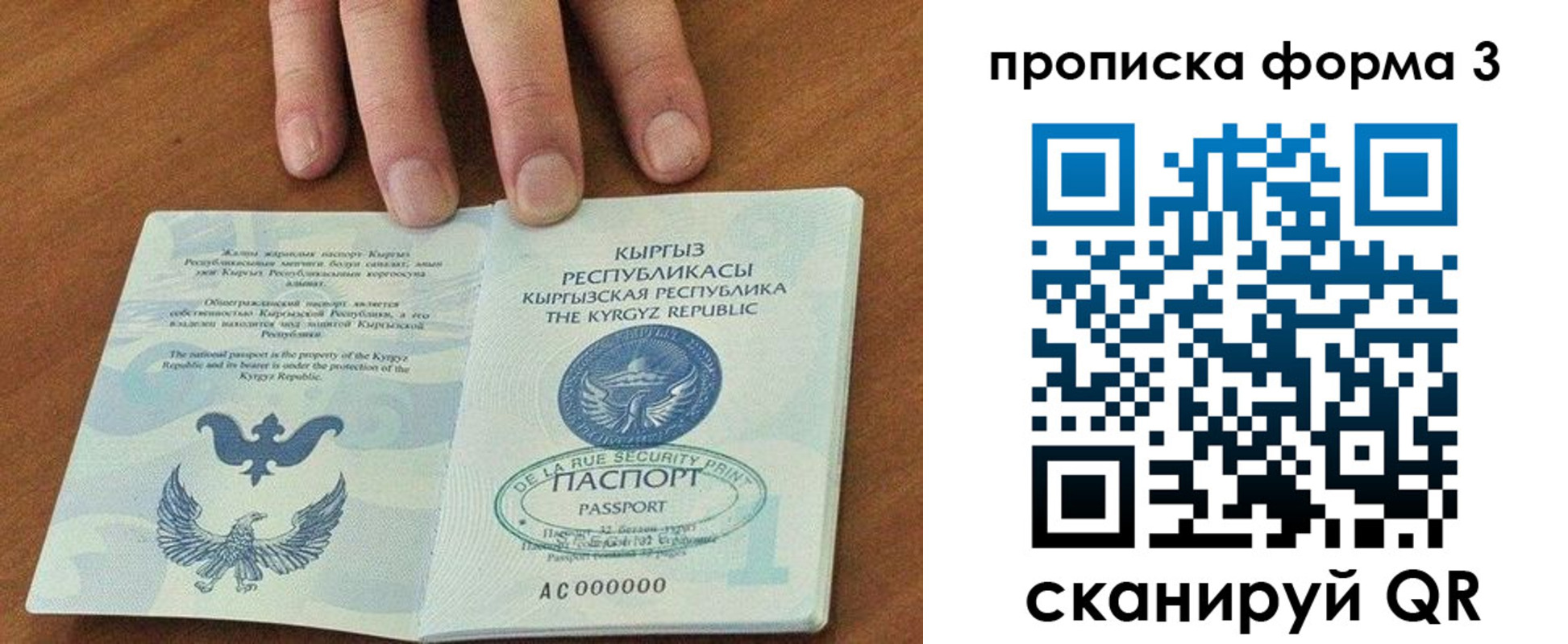 регистрация в Ростове-на-Дону